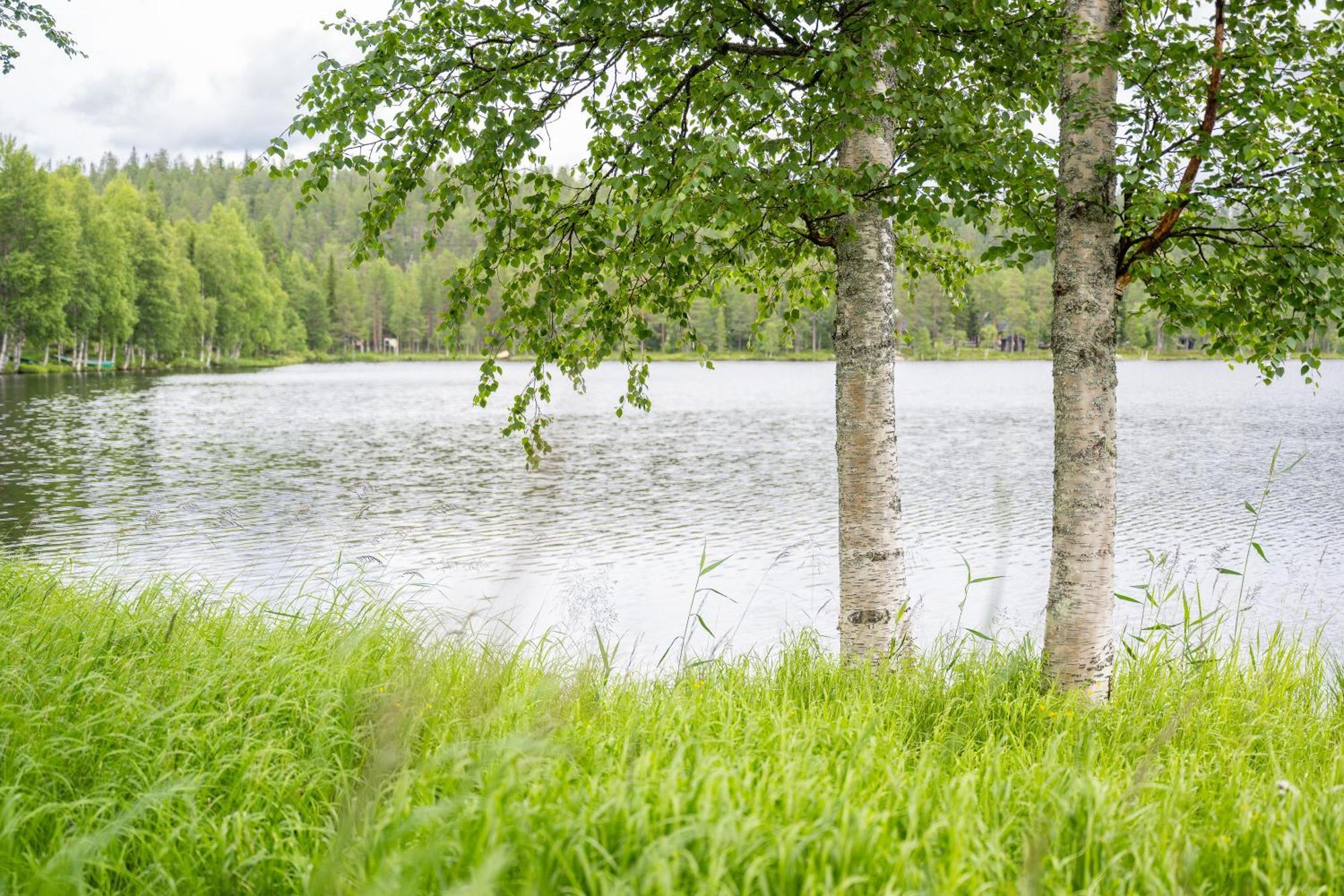 Semesterbostad Talvijaerven Helmi Kuusamo